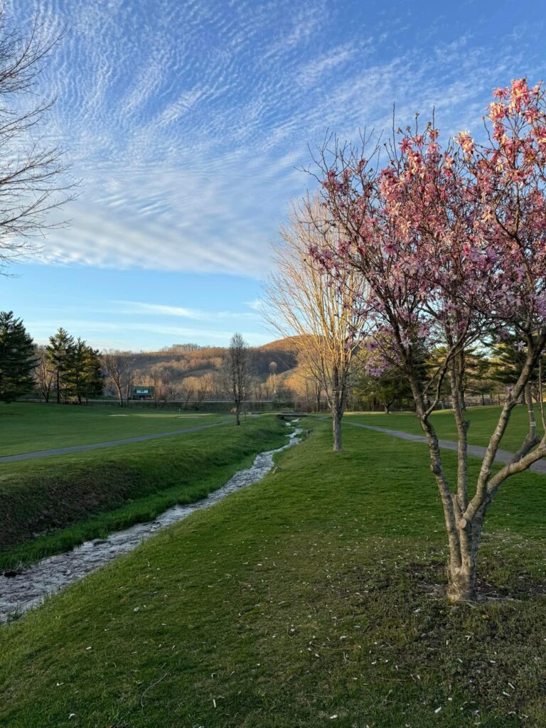 Tazewell County Country Club Pounding Mill VA Golf Course Tazewell County Country Club Pounding Mill VA Golf Course